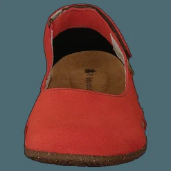 El Naturalista Wakataua Coral