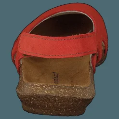 El Naturalista Wakataua Coral