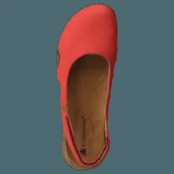 El Naturalista Wakataua Coral