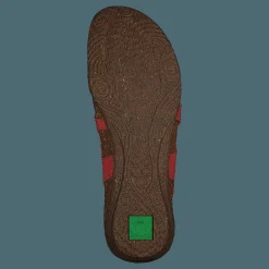 El Naturalista Wakataua Coral