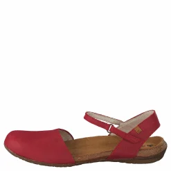 El Naturalista Wakatauan412 Tibet