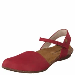 El Naturalista Wakatauan412 Tibet