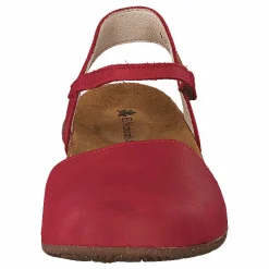 El Naturalista Wakatauan412 Tibet