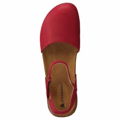 El Naturalista Wakatauan412 Tibet