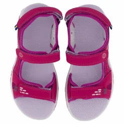 Barn Pax Went Purple Orchid