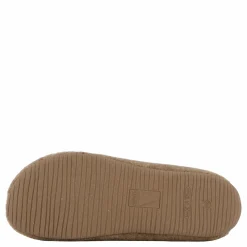 Verbenas Yoi Picos Pet Tierra