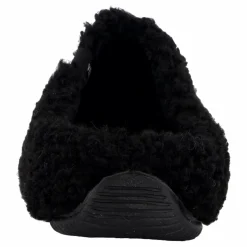 Verbenas York Curly Negro