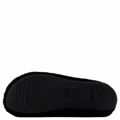 Verbenas York Nairobi Negro